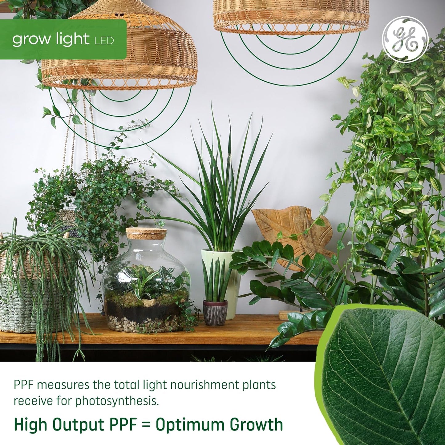 Grow LED Light Bulb for Plants