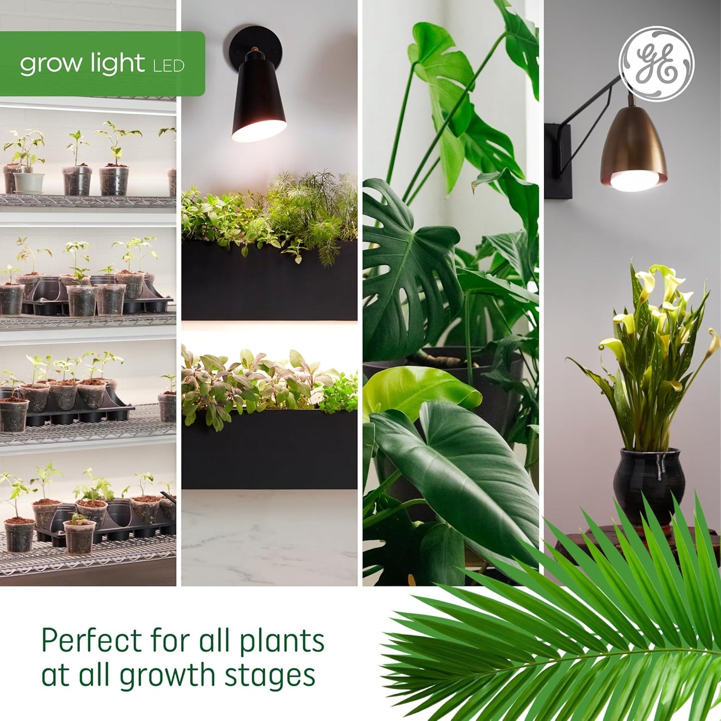 Grow LED Light Bulb for Plants