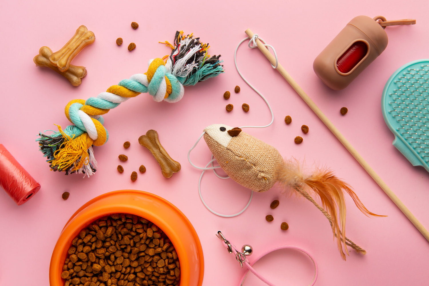 Pet Accessories