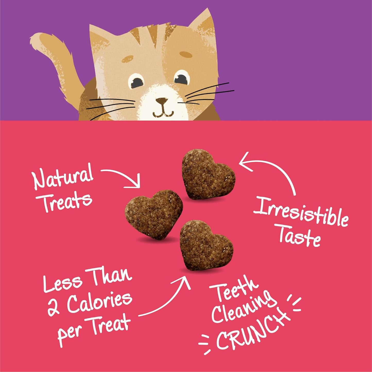 Salmon & Cranberries Recipe Cat Treats