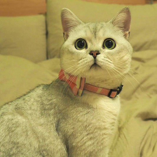 Cat Collar Breakaway with Bell and Bow Tie
