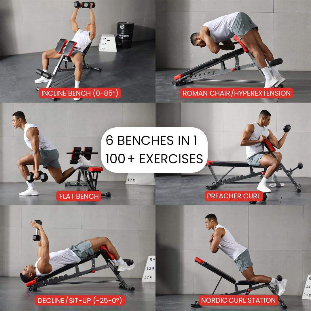 Multi-Functional FID Weight Bench