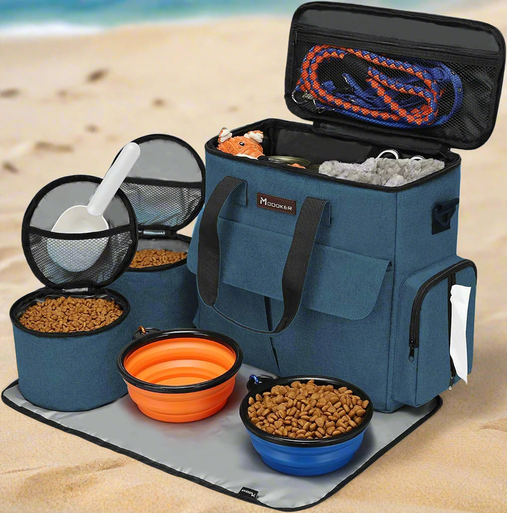 Airline Approved Tote Organizer with Multi-Function Pockets