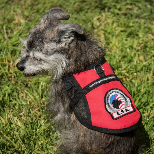 Premium Emotional Support Dog Vest