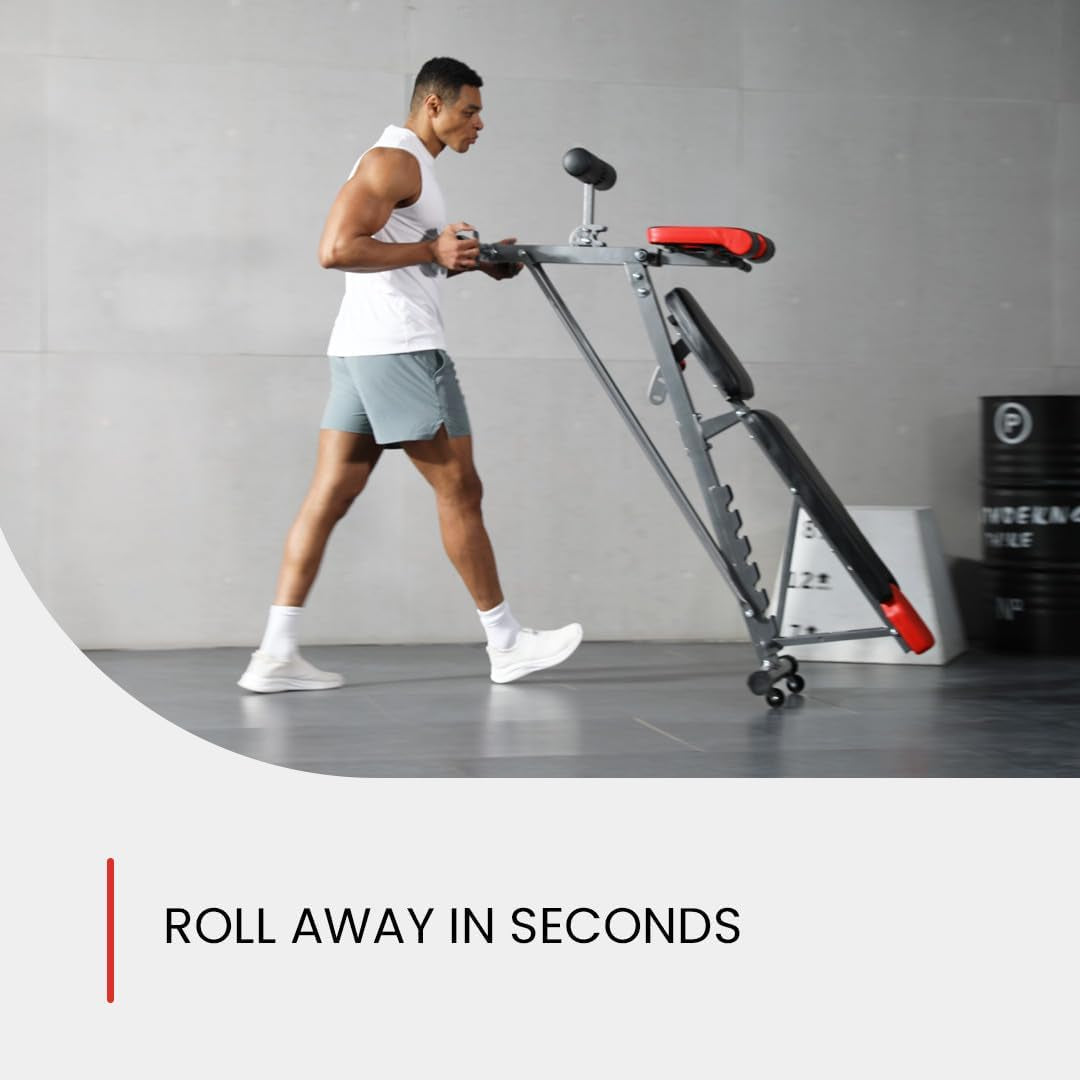 Multi-Functional FID Weight Bench