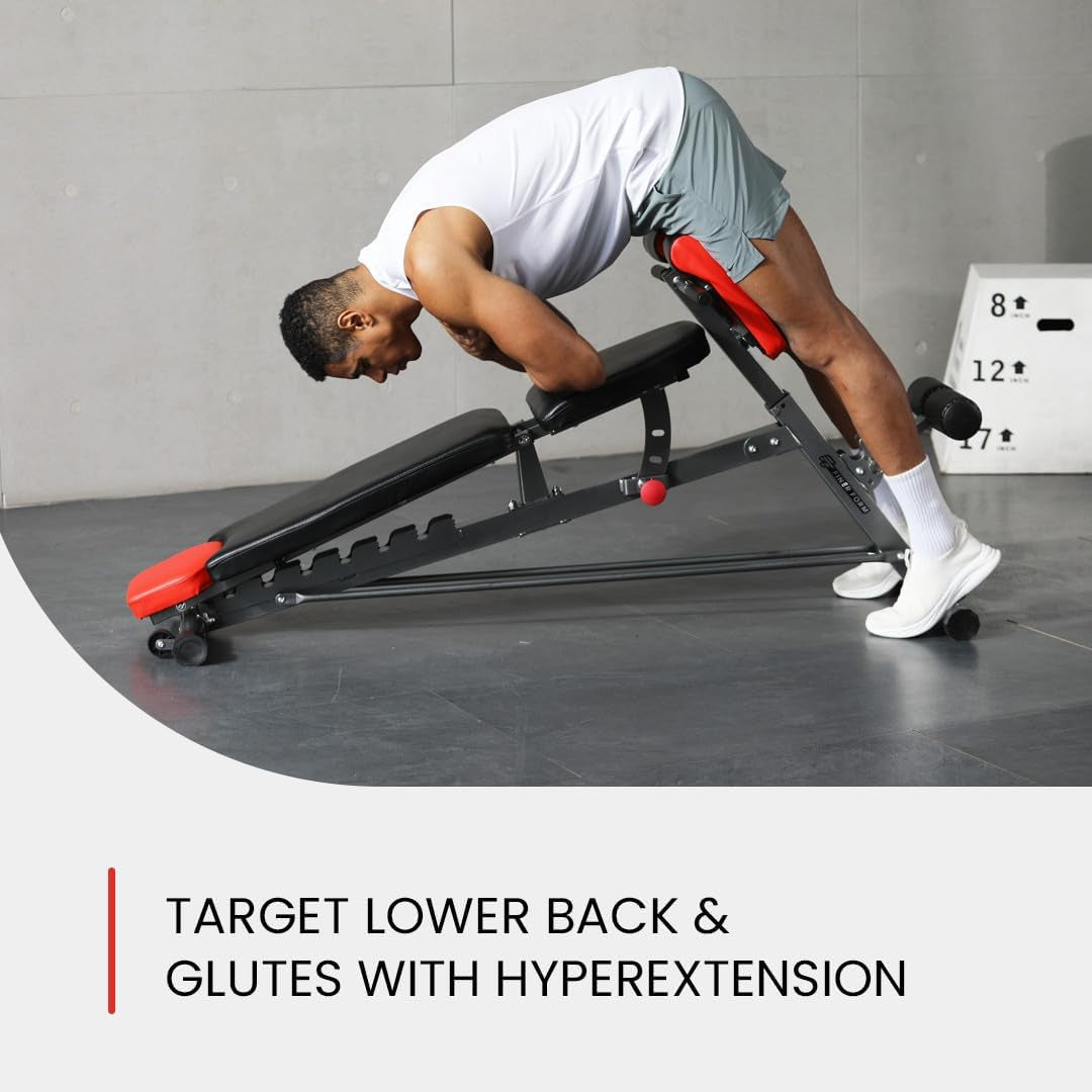 Multi-Functional FID Weight Bench