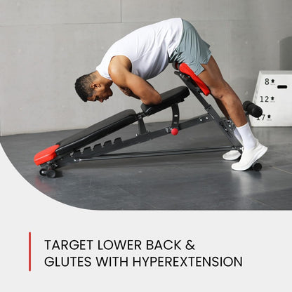 Multi-Functional FID Weight Bench